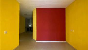 WhatsApp Image 2026-02-04 at 08.17.20.jpeg